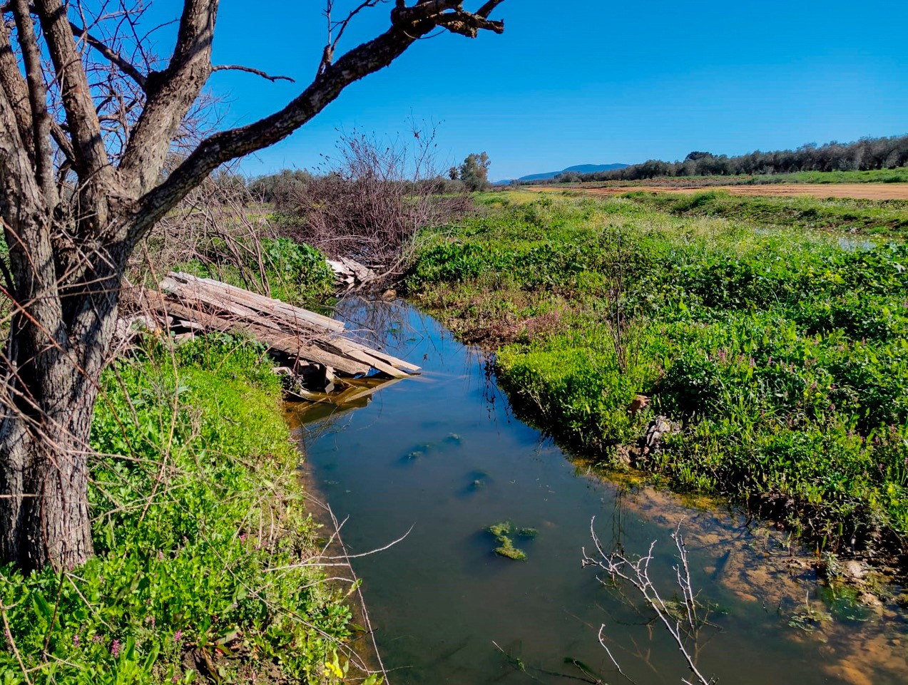 Trozos de amianto en un arroyo